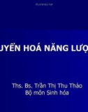 Bài giảng Chuyển hoá năng lượng - Ths. Bs. Trần Thị Thu Thảo