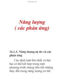 Năng lượng ( các phản ứng)