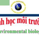 Sinh học môi trường