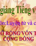 Slide bài LTVC: Mở rộng vốn từ: Cộng đồng - Tiếng việt 3 - GV.N.Tấn Tài