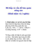 Hô hấp và vấn đề bảo quản nông sản (Khái niệm và ý nghĩa)