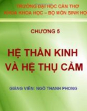 Bài giảng Sinh học đại cương A2: Chương 5 - Ngô Thanh Phong