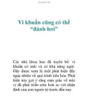 Vi khuẩn cũng có thể 'đánh hơi'