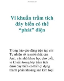 Vi khuẩn trầm tích đáy biển có thể 'phát' điện