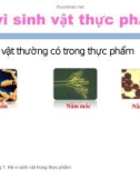 Bài giảng: Hệ vi sinh vật thực phẩm