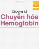 Bài giảng Hóa sinh - Chương 12: Chuyển hóa Hemoglobin