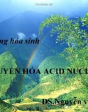 Bài giảng Hóa sinh: Chuyển hóa Acid nucleic - DS. Nguyễn Văn Ảnh