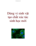 Dùng vi sinh vật tạo chất xúc tác sinh học mới