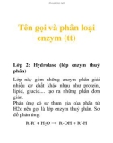 Tên gọi và phân loại enzym (tt)