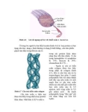 Giáo trình Công nghệ Protein part 6