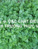 Bài giảng Sinh học đại cương (Phần 3): Chương 19 - ThS. Võ Thanh Phúc