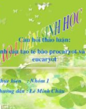 So sánh cấu tạo tế bào procaryot và eucaryot