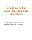 So sánh các tế bào eukaryote, eubacteria và archaea