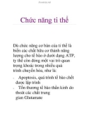 Chức năng ti thể