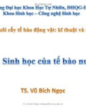 Bài giảng Nuôi cấy tế bào động vật – Kĩ thuật và ứng dụng – Bài 2: TS. Vũ Bích Ngọc (2019)