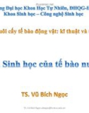 Bài giảng Nuôi cấy tế bào động vật – Kĩ thuật và ứng dụng: Bài 2 – TS. Vũ Bích Ngọc (2017)