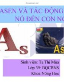 ASEN VÀ TÁC ĐỘNG CỦA NÓ ĐẾN CON NGƯỜI