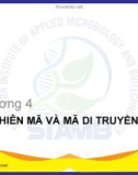 Bài giảng Sinh học phân tử: Chương 4 - Bùi Hồng Quân