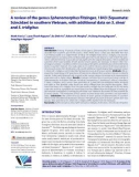 A review of the genus Sphenomorphus Fitzinger, 1843 (Squamata: Scincidae) in southern Vietnam, with additional data on S. sheai and S. tridigitus