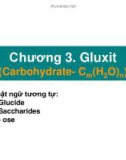 Bài giảng Hóa sinh - Chương 3: Gluxit