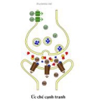 Bài giảng sinh hóa - Hóa sinh tổ chức thần kinh part 9