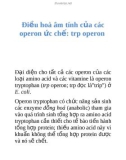 Điều hoà âm tính của các operon ức chế: trp operon