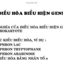 Điều hòa biểu hiện gene