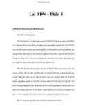 Lai ADN – Phần 4