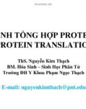 Bài giảng Hóa sinh - Bài: Sinh tổng hợp protein (Protein translation) - Phần 1