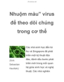 Nhuộm màu' virus để theo dõi chúng trong cơ thể