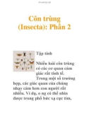 Côn trùng (Insecta): Phần 2