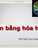 Bài giảng Cân bằng hóa học – ThS. Ngô Gia Lương