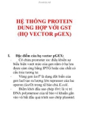 Hệ thốngprotein dung hợp với GST (HỌ VECTOR pGEX)