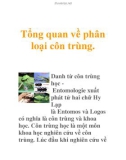 Tổng quan về phân loại côn trùng.