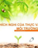 SỰ THÍCH NGHI CỦA THỰC VẬT VỚI MÔI TRƯỜNG