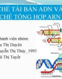 CƠ CHẾ TÁI BẢN ADN VÀ CƠ CHẾ TỔNG HỢP ARN