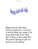 Mạng lưới nội chất