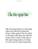 cấu trúc ngoại bào