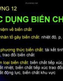 Chương 12: Tác dụng biến chất