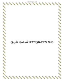 Quyết định số 1127/QĐ-CTN 2013