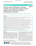 Genome-wide identification, molecular evolution, and expression analysis of auxin response factor (ARF) gene family in Brachypodium distachyon L