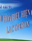 Điều hòa biểu hiện gen Lac Operon