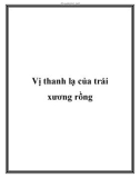 Vị thanh lạ của trái xương rồng