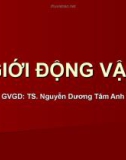 Giới động vật - GV: TS. Nguyễn Dương Tâm Anh