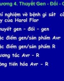 Miến dịch học thực vật chương 4