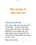 Đại cương về nấm mốc (Sự sinh sản)