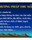 Phương pháp thử mẫu thủy sinh thực vật part 1