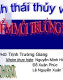 Ô nhiễm môi trường nước