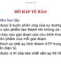 Bài giảng Hô hấp tế bào (22tr)