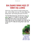 ĐA DẠNG SINH HỌC Ở VỊNH HẠ LONG